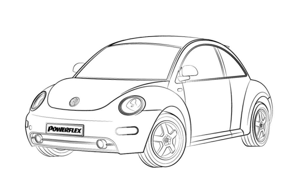 Beetle Models